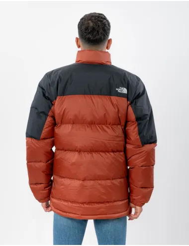 THE NORTH FACE NF0A4M9JWEW