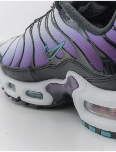 NIKE   AIR MAX PLUS FQ2415 500