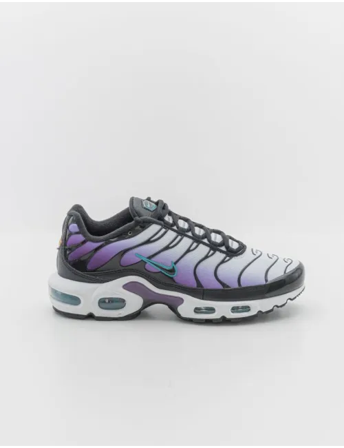 NIKE   AIR MAX PLUS FQ2415 500