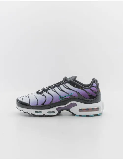 NIKE   AIR MAX PLUS FQ2415 500