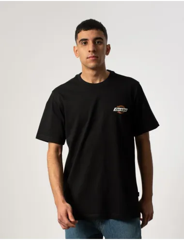 DICKIES    DK0A4XDCJ47