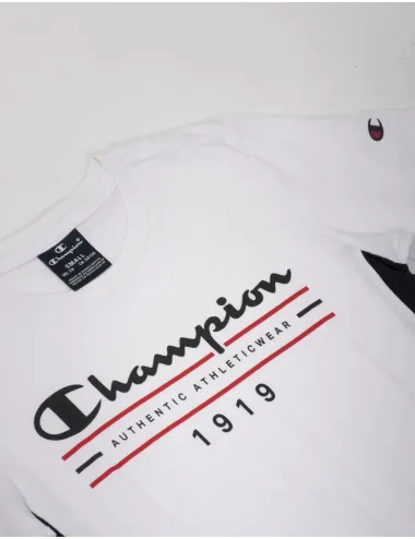 CHAMPION 306700 CHA WW001